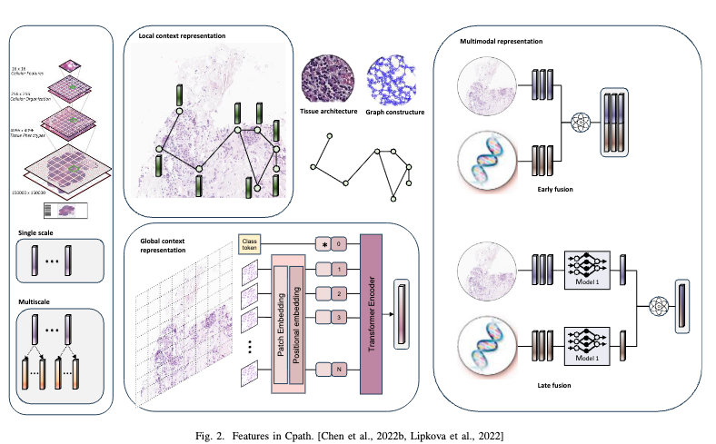 Advances in Multiple Instance Learning for Whole Slide Image Analysis: Techniques, Challenges, and Future Directions