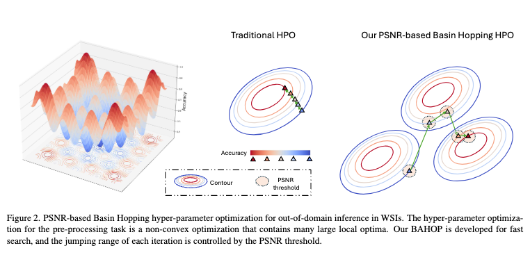 BAHOP: Similarity-based Basin Hopping for A fast hyper-parameter search in WSI classification
