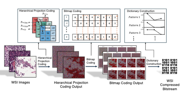 WISE: A Framework for Gigapixel Whole-Slide-Image Lossless Compression