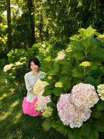 2026-05_hydrangea.jpg
