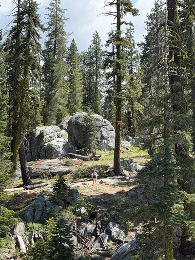 Yosemite National Park